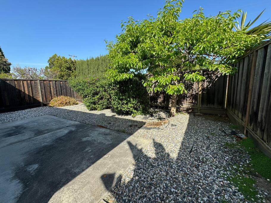 Spacious 3Br2B2Livingroom House Sunnyvale Community Park Exterior photo